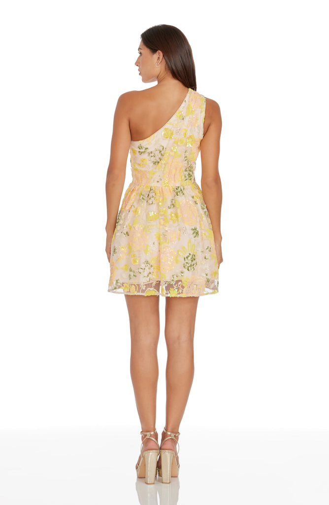 Delaney Dress – Dress the Population