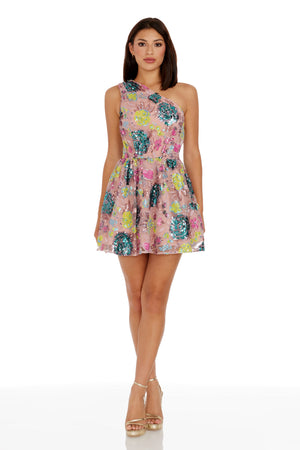 Delaney Dress / BLUSH MULTI