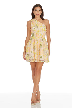 Delaney Dress / CANARY MULTI