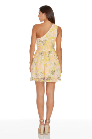 Delaney Dress / CANARY MULTI