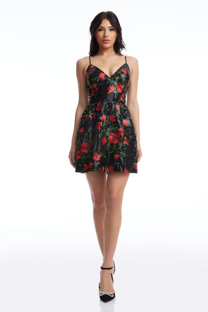 Elva dress / ROUGE MULTI