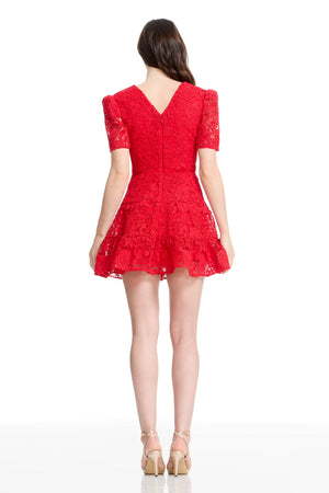 HALLIE DRESS / ROUGE
