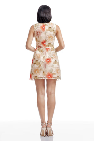 Jackie Dress / Champagne Multi