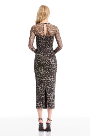 MAXINE / SNOW LEOPARD