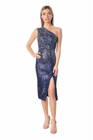 Palmer Dress / NAVY MULTI
