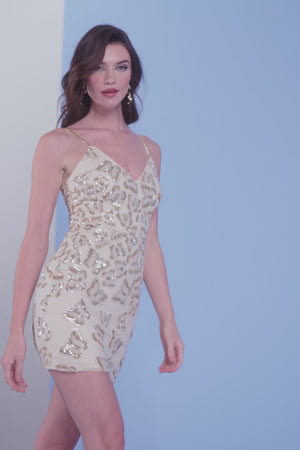 Anya Dress / Champagne Multi