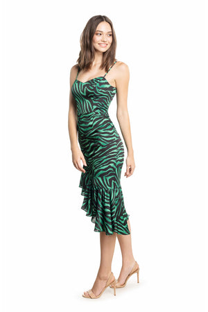 Cantrelle Zebra Print Asymmetrical Dress - Dress the Population