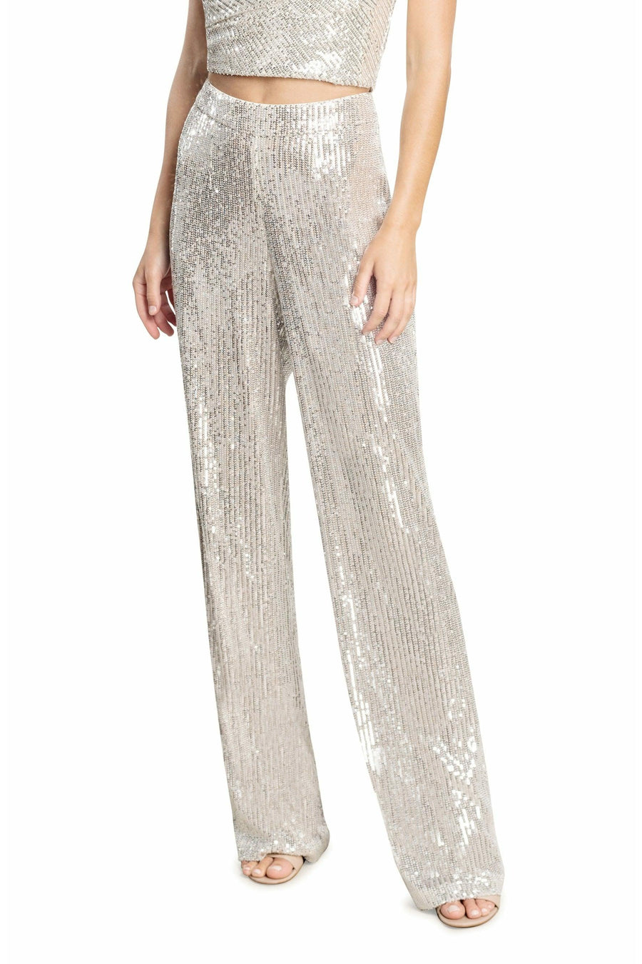 Dina Silver Sequin Pants - Dress the Population