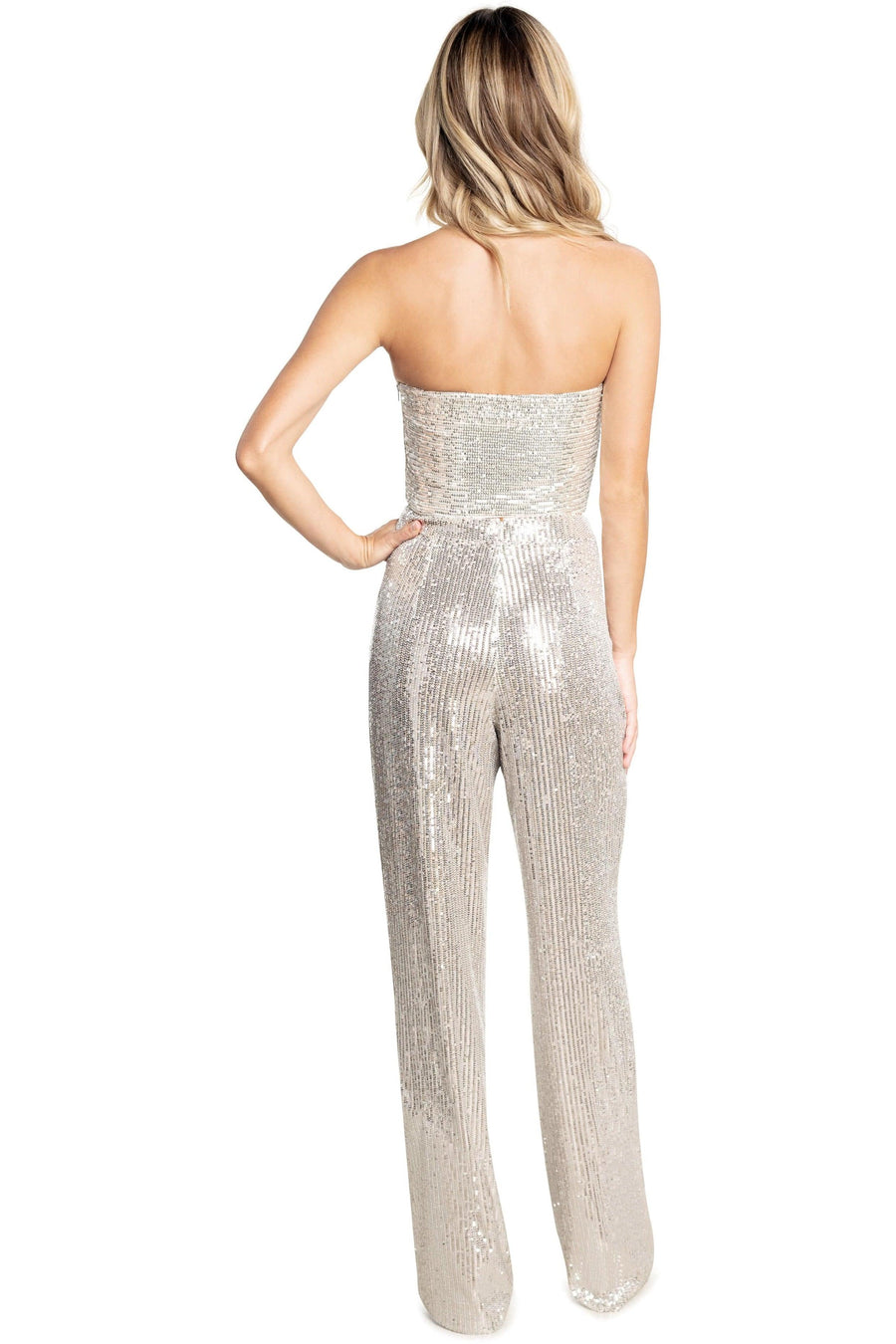 Dina Silver Sequin Pants - Dress the Population