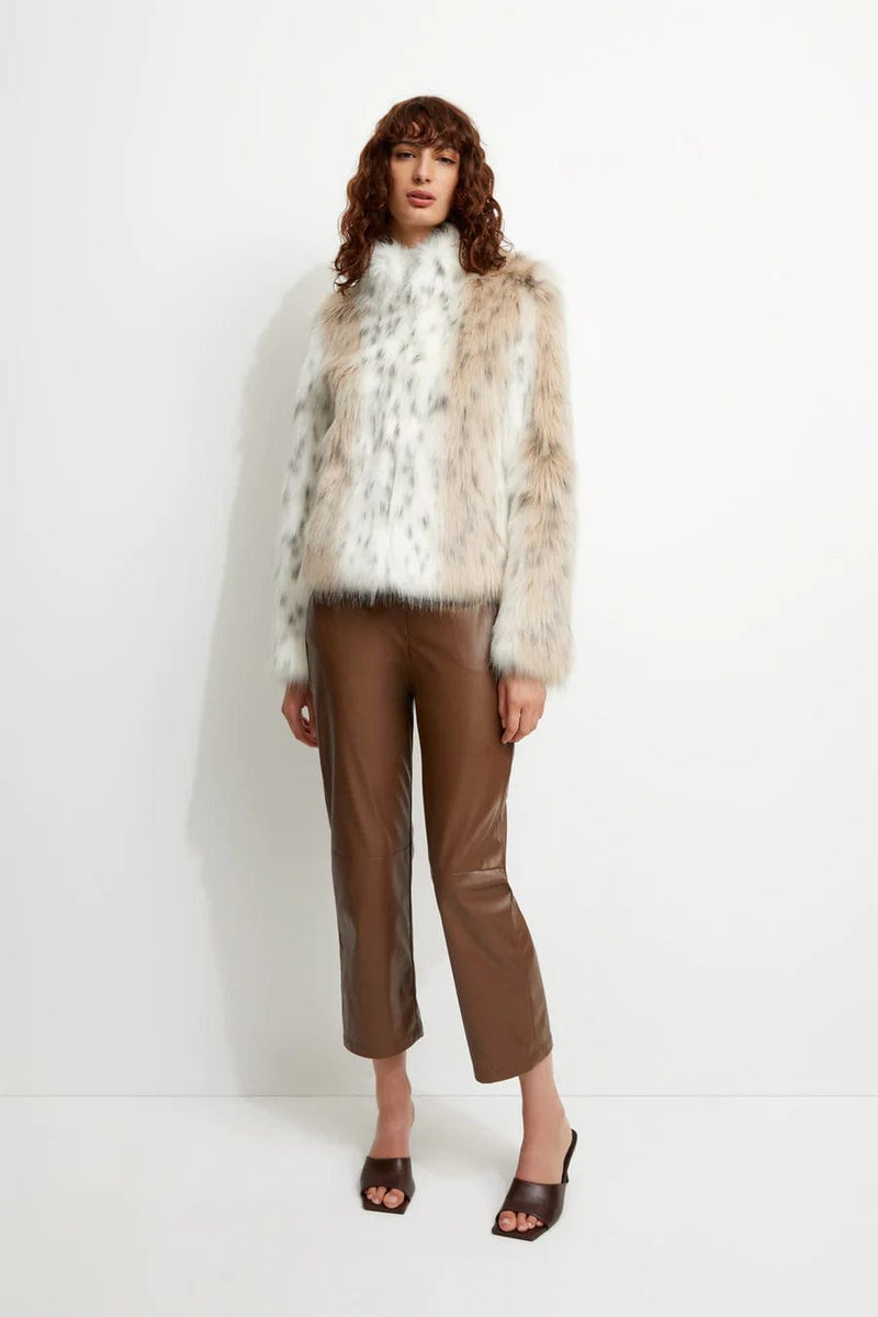 Wild Dream Jacket - Dress the Population